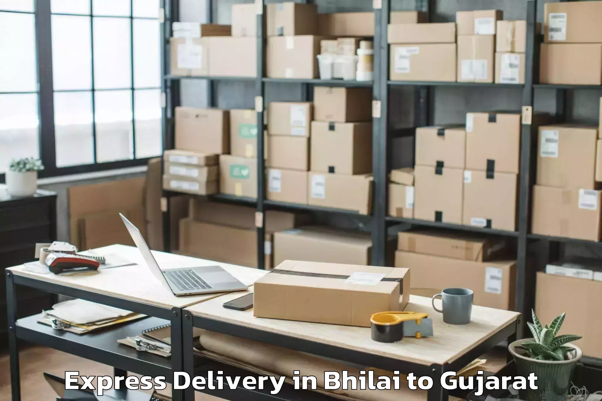 Professional Bhilai to Adalaj Express Delivery